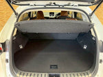 LEXUS NX300h