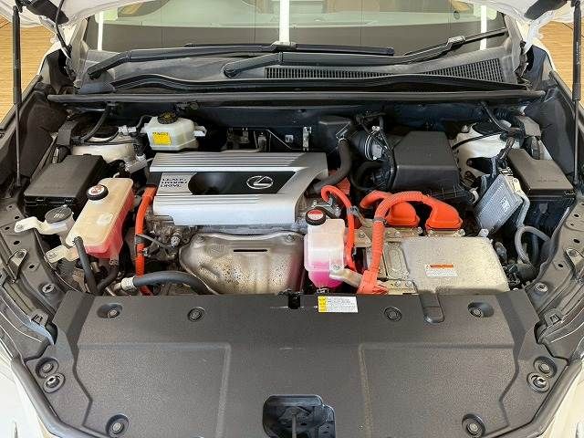 LEXUS NX300h