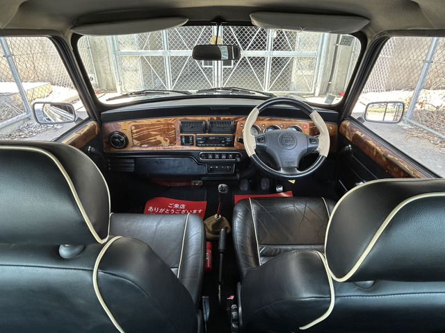 ROVER MINI