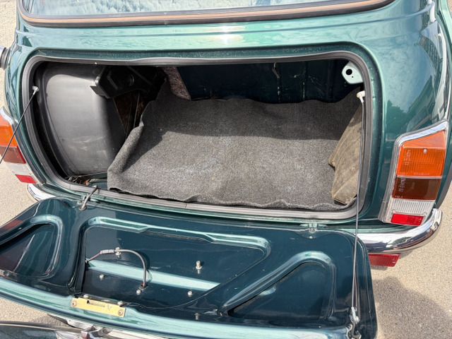 ROVER MINI