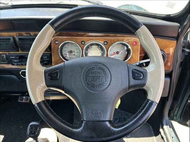 ROVER MINI