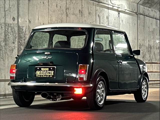 ROVER MINI