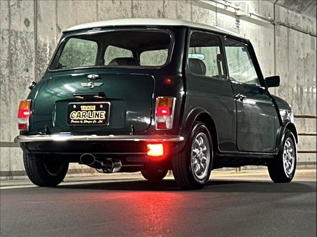 ROVER MINI