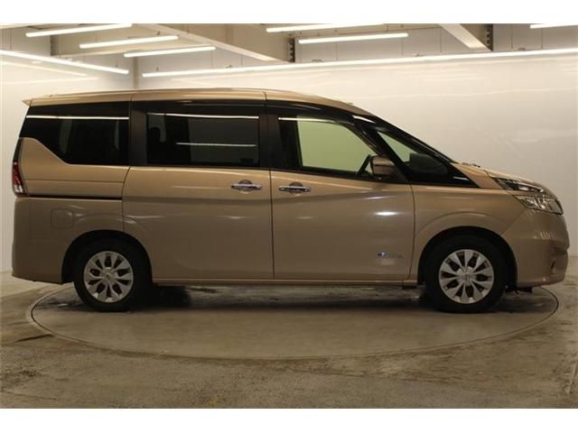SERENA  S-HYBRID