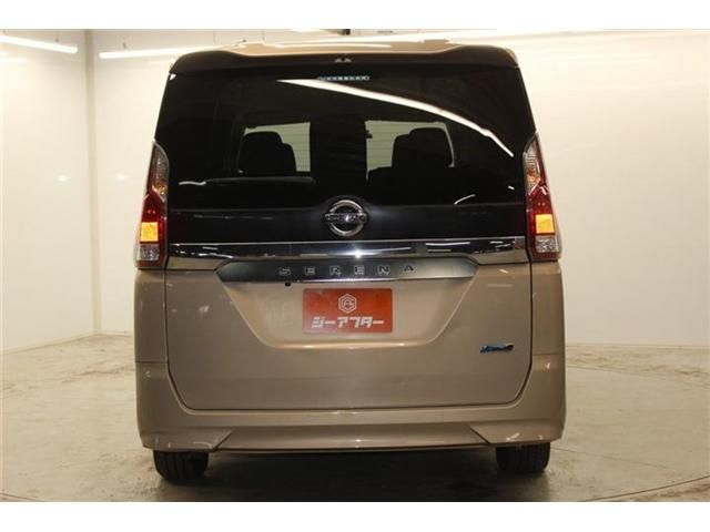 SERENA  S-HYBRID
