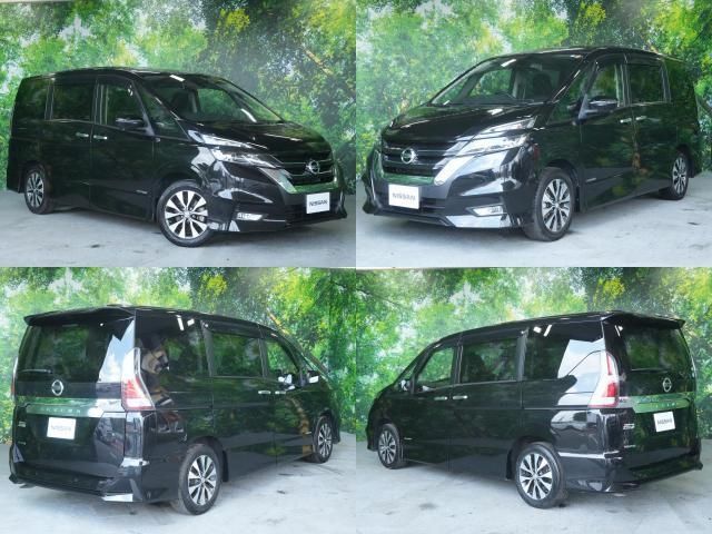 SERENA  S-HYBRID