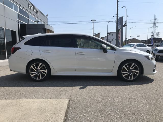 LEVORG