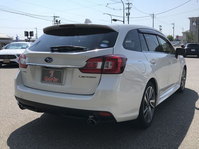 LEVORG