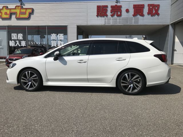 LEVORG