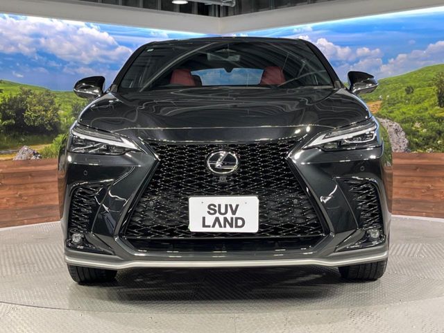 LEXUS NX350h
