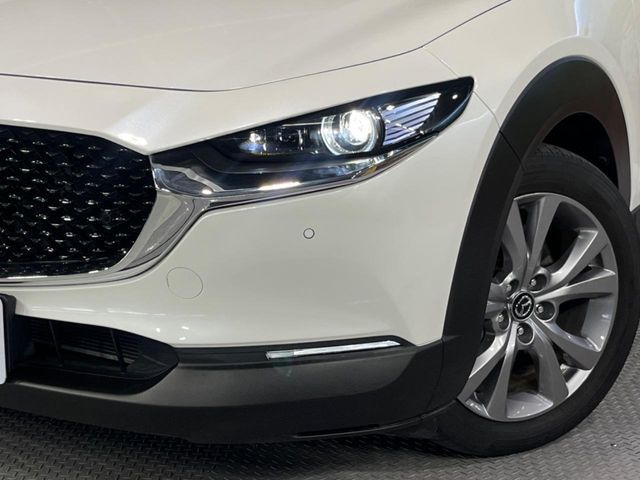 CX-30