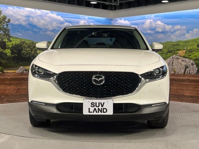 CX-30