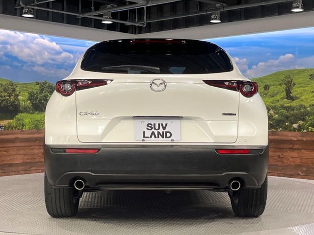 CX-30