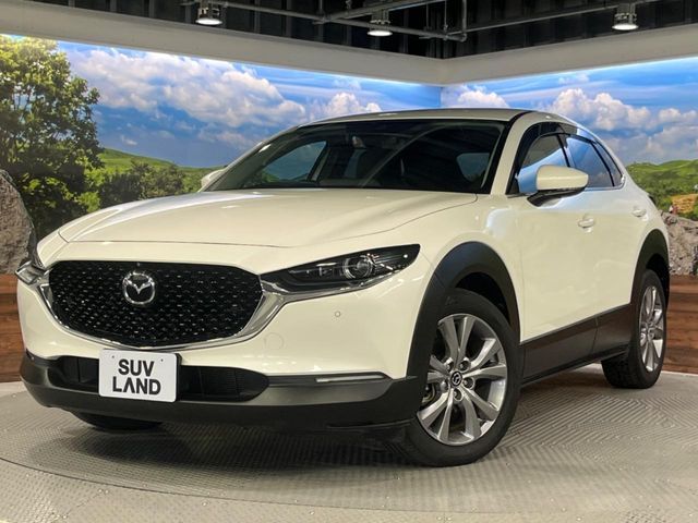 CX-30