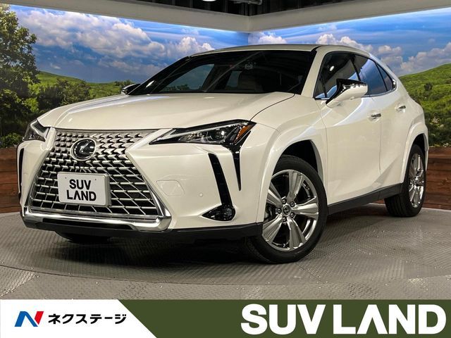LEXUS UX250h
