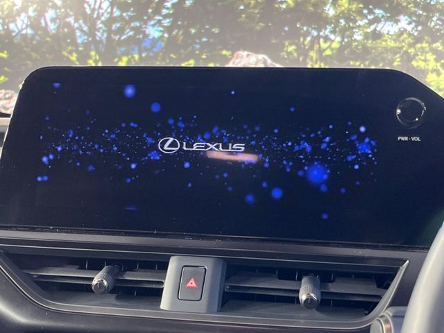 LEXUS UX250h