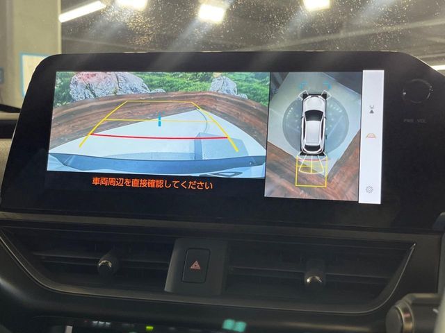 LEXUS UX250h