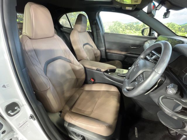 LEXUS UX250h