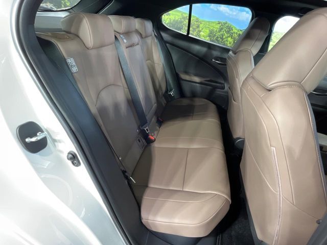 LEXUS UX250h