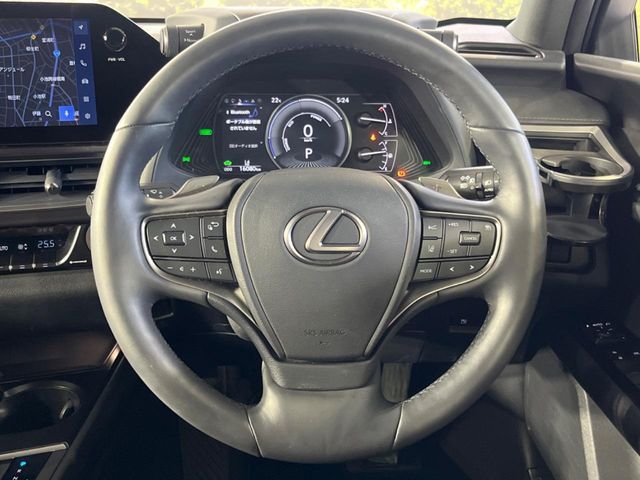 LEXUS UX250h