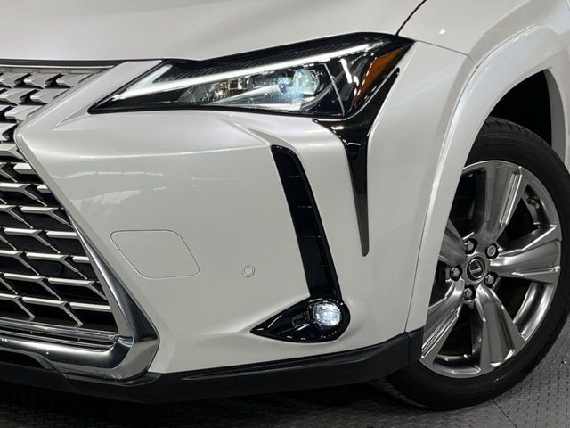 LEXUS UX250h