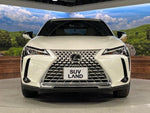 LEXUS UX250h