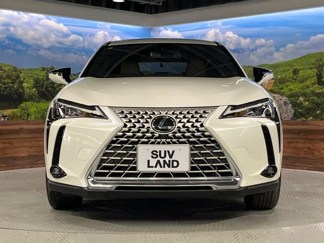 LEXUS UX250h
