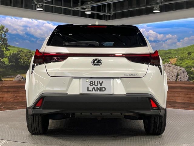 LEXUS UX250h
