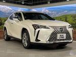 LEXUS UX250h