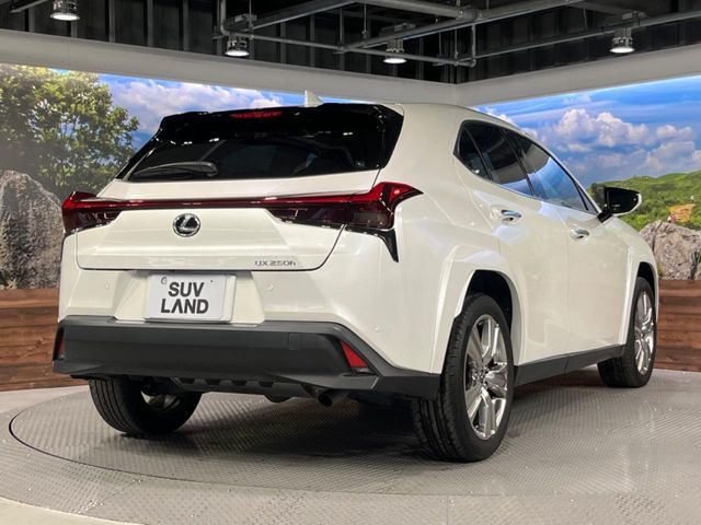 LEXUS UX250h