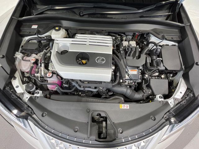 LEXUS UX250h