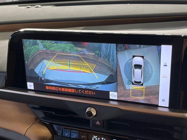 CROWN SPORT