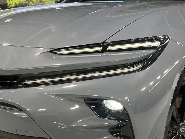 CROWN SPORT
