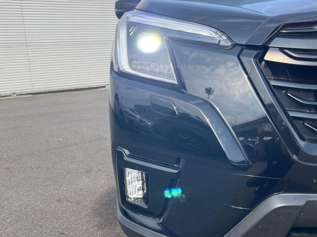 FORESTER