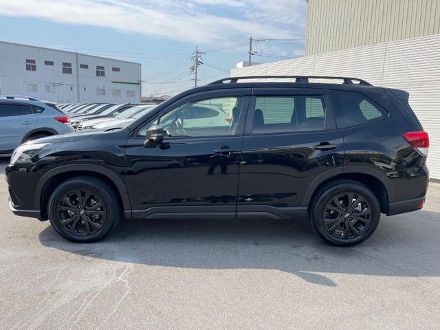 FORESTER