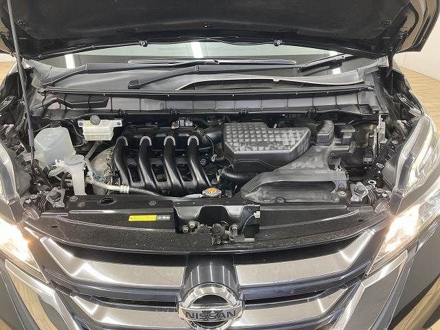 SERENA  S-HYBRID