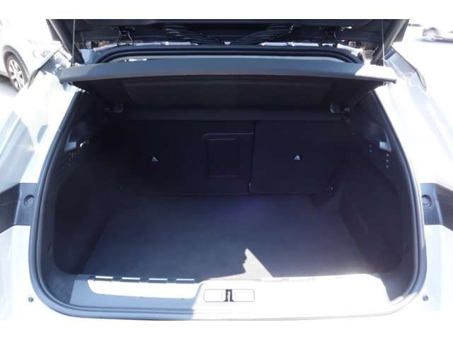 CITROEN DS4