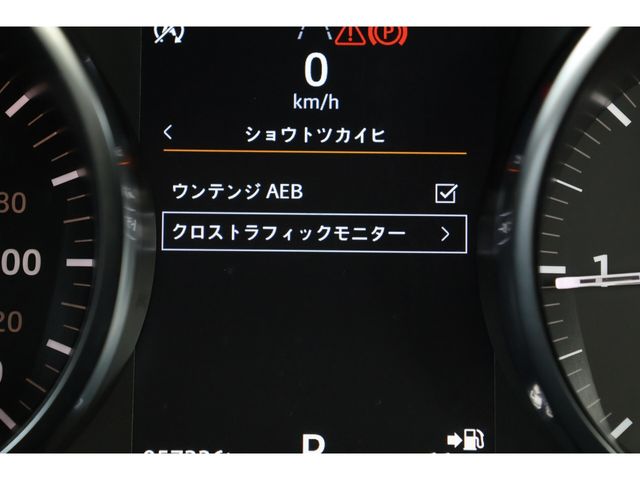 ROVER RANGE ROVER EVOGUE