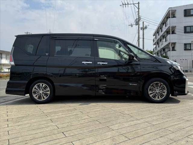 SERENA  S-HYBRID