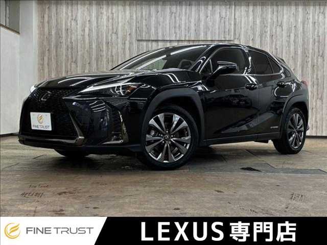LEXUS UX250h