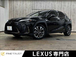 LEXUS UX250h