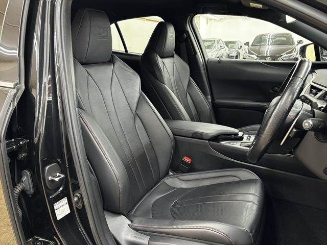 LEXUS UX250h