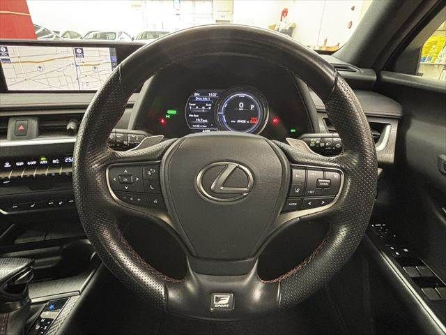 LEXUS UX250h