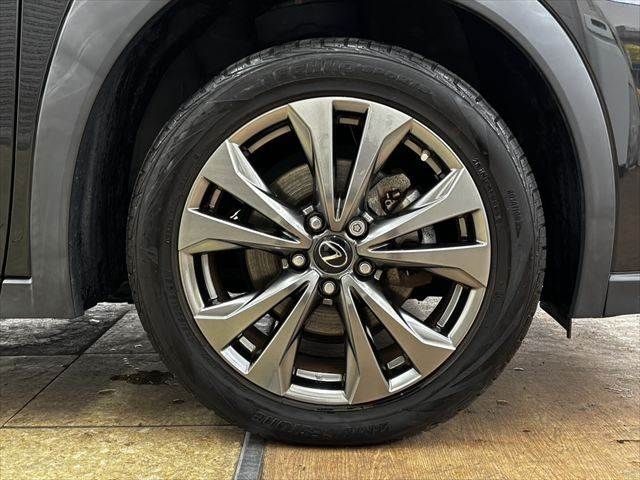 LEXUS UX250h