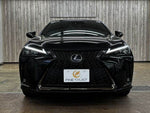 LEXUS UX250h