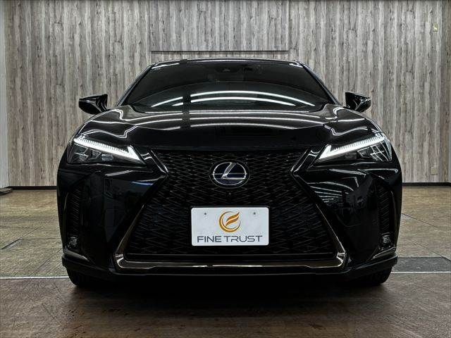 LEXUS UX250h