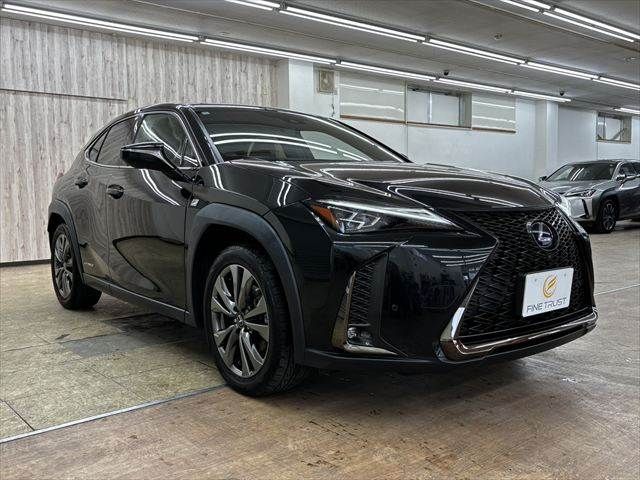 LEXUS UX250h