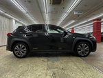 LEXUS UX250h