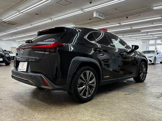 LEXUS UX250h