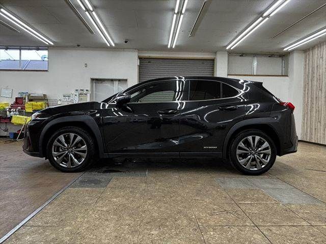 LEXUS UX250h